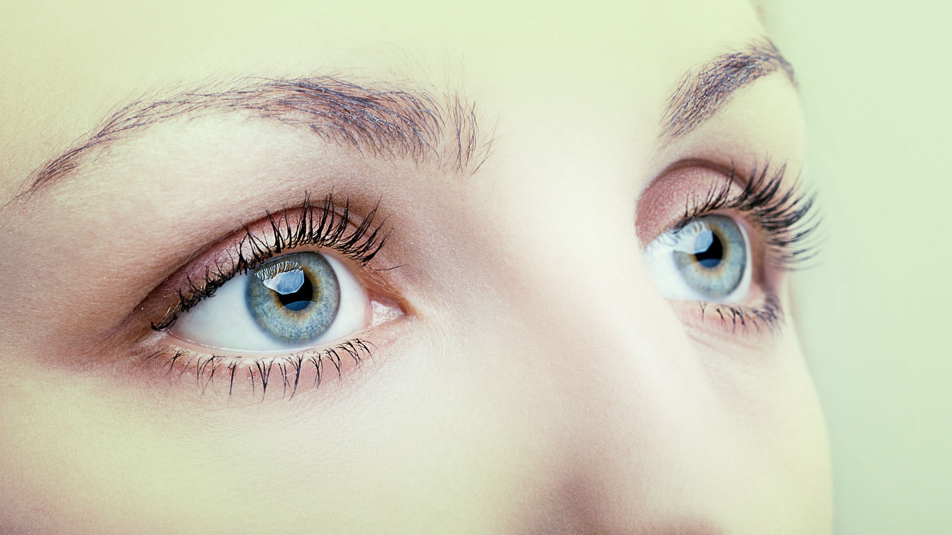 Macula Test